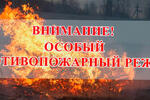 С 18 апреля действует особый противопожарный режим